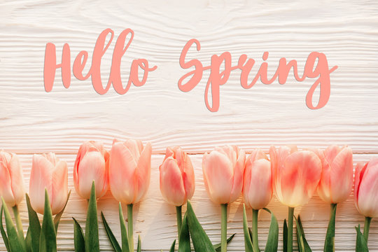 Hello Spring!
